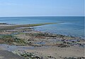 Low tide at Sarn Gynfelyn - geograph.org.uk - 845252.jpg