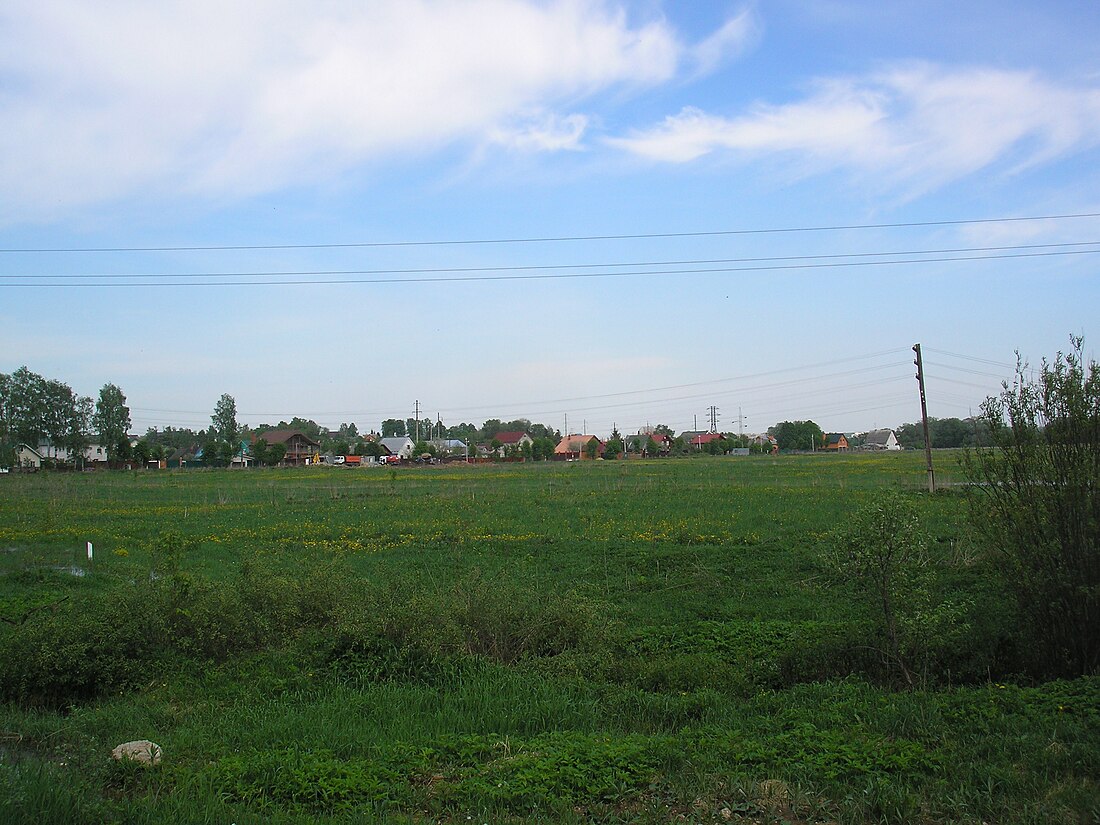 Лучинское (городской округ Истра)