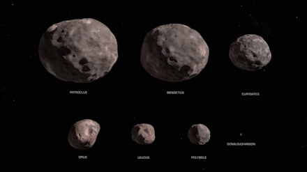 Seven of the Lucy mission's targets: the binary asteroid Patroclus/Menoetius, Eurybates, Orus, Leucus, Polymele, and the main belt asteroid Donaldjohanson.