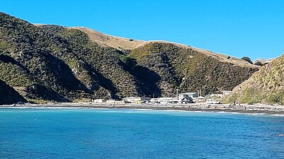 Mākara Beach village from the coastal walkway.