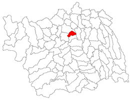 Măgura - Carte