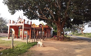 <span class="mw-page-title-main">Heggadadevanakote</span> Town in Karnataka, India