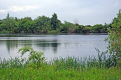 Hlavní jezero - geograph.org.uk - 1323776.jpg