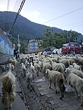 Thumbnail for File:Manali 10.jpg