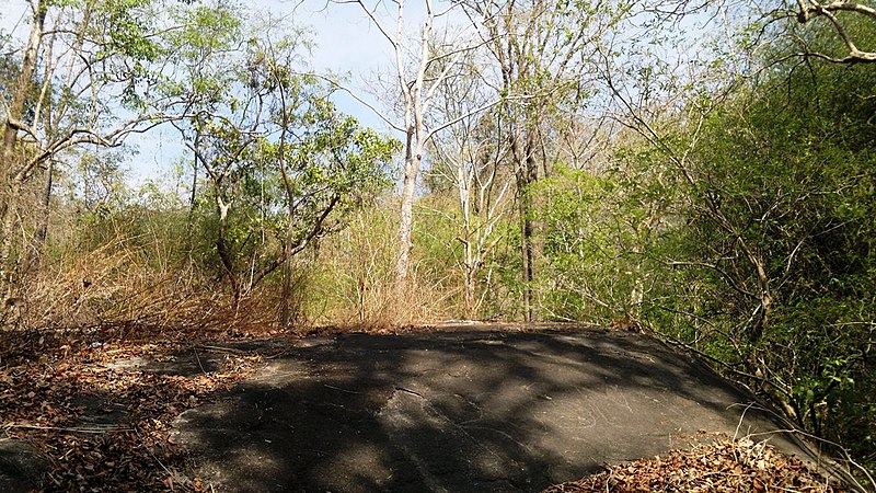 File:Marotichal Reserve Forest - panoramio (9).jpg