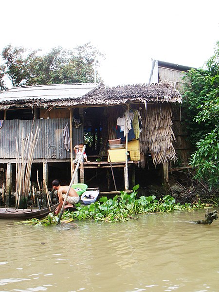 File:Mekong Delta, Vietnam - panoramio (11).jpg