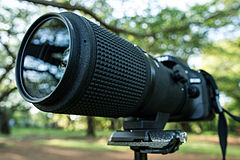 Micro-Nikkor 200mm f-4D - New Gear Acquired! (8688218719).jpg