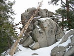 Mount San Jacinto State Park