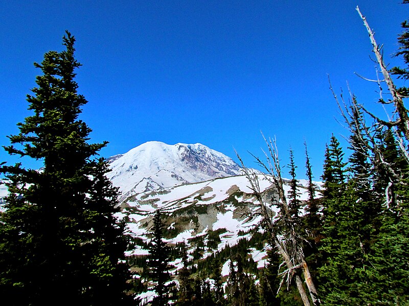 File:Mount Rainier National Park (9290441578).jpg