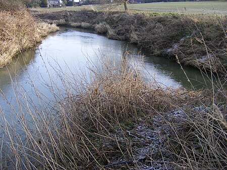 Mouth of River Eden