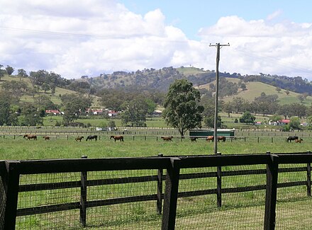 A Thoroughbred horse stud farm, Murrurundi, New South Wales