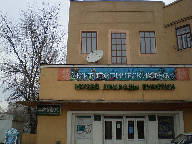 Файл:Museum of nature of Buryatia.JPG