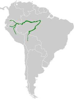 Distribución geográfica del hormiguero negriblanco.