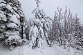 * Nomination National nature reserve Mazák on Lysá hora Mountain in Moravian-Silesian Beskids --T.Bednarz 00:19, 5 January 2021 (UTC) * Promotion  Support Good quality -- Johann Jaritz 03:55, 5 January 2021 (UTC)