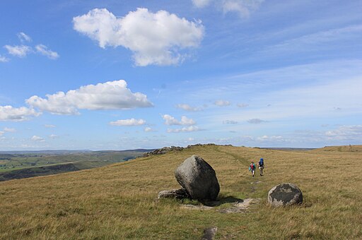 Near Shaw Rocks - geograph.org.uk - 2518595