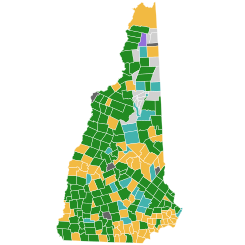 New Hampshire Democratic presidential primary election results by town, 2020.svg