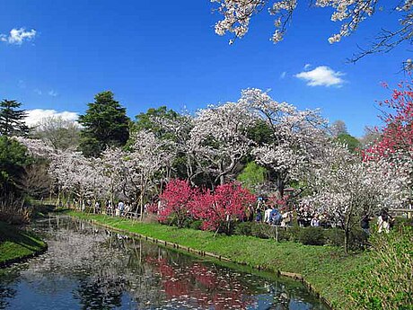 清水公園