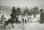 Tyske piggtrådsperringer og forsterket vakthold på grensa mellom Norge og Sverige vinteren 1943. Foto: Riksarkivet