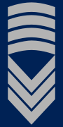 Distinksjon for sersjantmajor i Luftforsvaret
