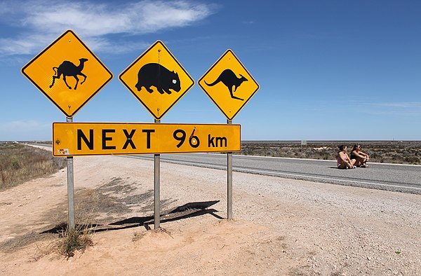 The Eyre Highway crosses the flat terrain of the Nullarbor Plain