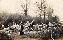 Odell Great Wood historisches Foto.jpg