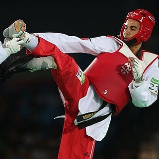 <span class="mw-page-title-main">Omar Hajjami</span> Moroccan taekwondo practitioner