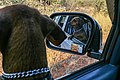 On the road in South Africa 32.jpg