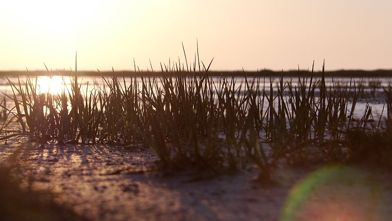 File:Ondergaande zon aan de kust bij Uithuizen.JPG