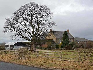 <span class="mw-page-title-main">Ouston, Stamfordham</span> Human settlement in England