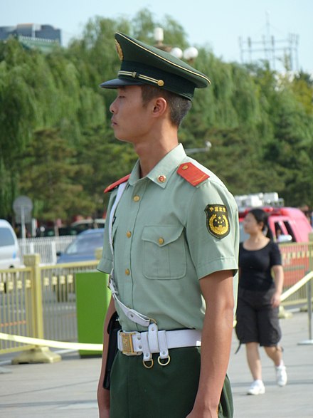 A typical PAP soldier