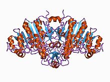 PDB 1alk EBI.jpg 