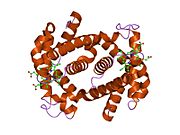 PDB 1lfv EBI.jpg