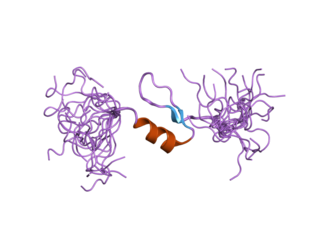 KLF15 protein-coding gene in the species Homo sapiens