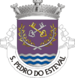 Vlag van São Pedro do Esteval