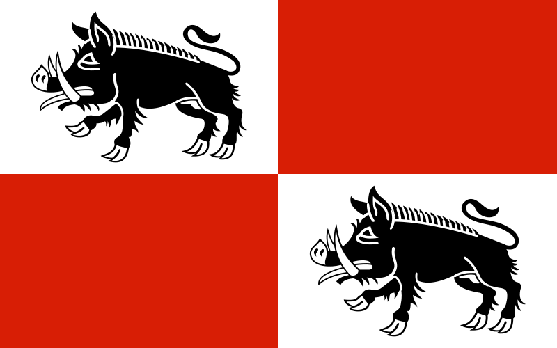 File:POL Mieroszów flag.svg