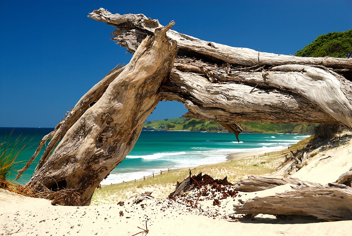 Pakiri Beach, Kite fishing, itravelNZ® - New Zealand in your pocket™