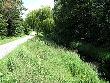 Die Panke – östliche Grenze des Naturschutzgebietes