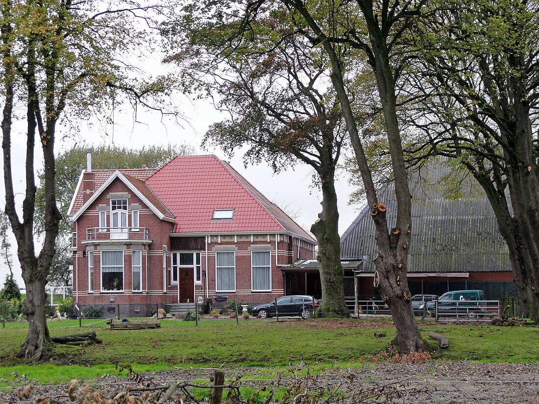 Panser (Het Hogeland)