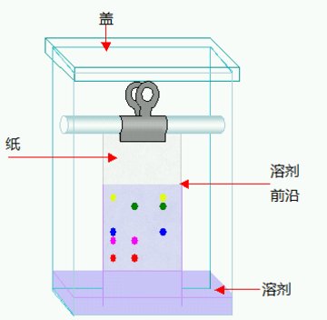 纸色谱法