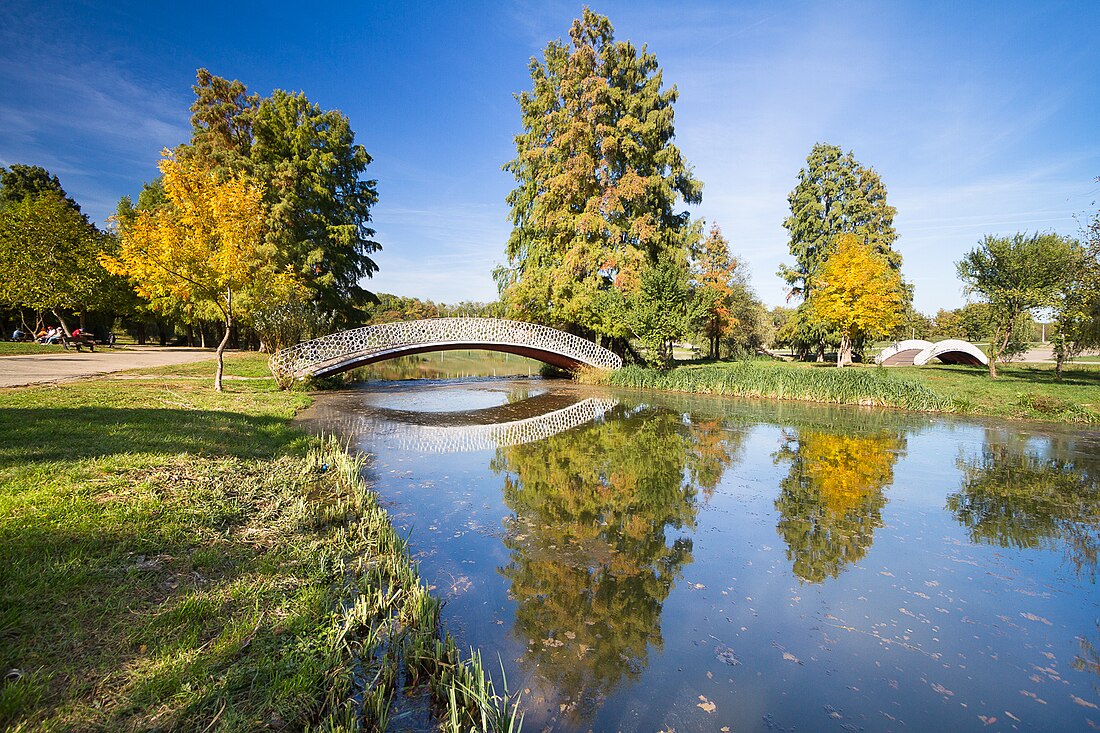 Parc Tineretului