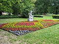 Park Staromiejski - dywan kwiatowy