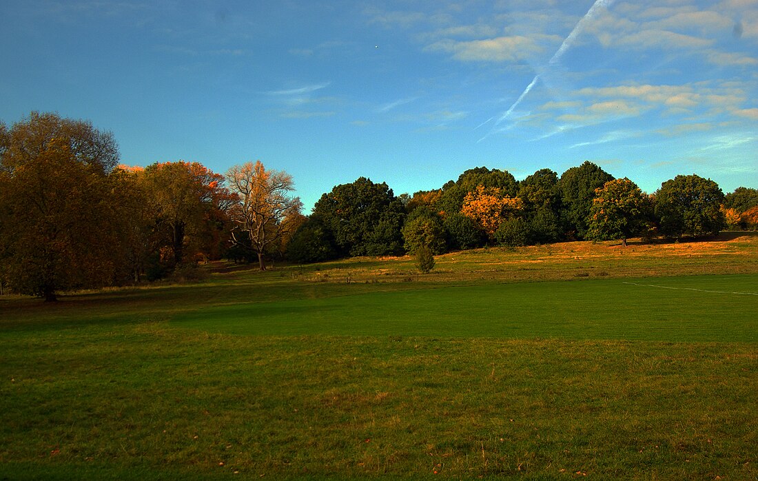 Hampstead Heath