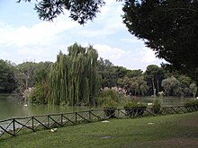 La Pineta Dannunziana di Pescara