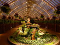 Phipps-Conservatory-4.jpg