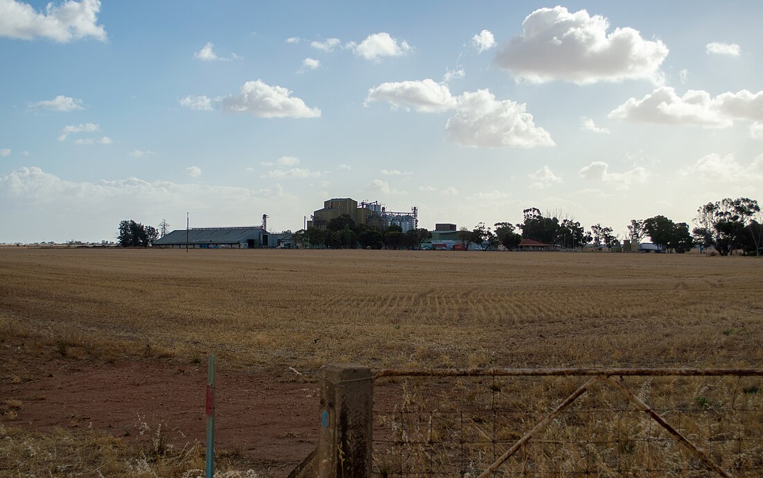 Pinkerton Plains, South Australia