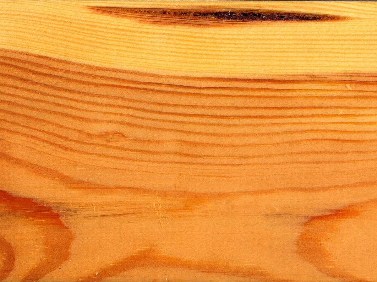 Western Red Cedar  The Wood Database (Softwood)