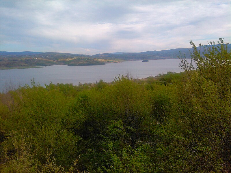 File:Pogled na Vlasinsko jezero iz Vlasine Rid.jpg