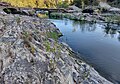 * Nomination Rock smoothed by the waters of the Arno river, near the Annibale Bridge, (Bruscheto Reggello district - Florence). Small plants have also grown on the rocks.--Anna.Massini 19:31, 1 October 2023 (UTC) * Promotion  Comment alleged main subject almost hidden in background and out of main focus pane. Could be a QI of the rock surface though, with the right description. --MB-one 10:14, 6 October 2023 (UTC) DoneDone.Thanks, I changed the description and added the Rocks categoryAnna.Massini 13:24, 6 October 2023 (UTC)Anna.MassiniAnna.Massini 13:24, 6 October 2023 (UTC) Good quality. --MB-one 20:39, 6 October 2023 (UTC)