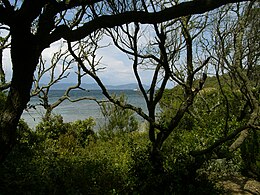 Port-cros-nature 1.jpg