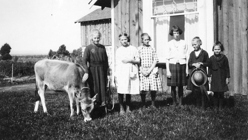 File:Powell Butte calf club of Crook County. Clara Peterson, club president, standing by her calf (5834184586).jpg